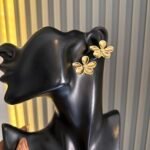 Classy earrings