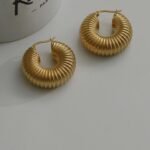 Hoop steel earrings